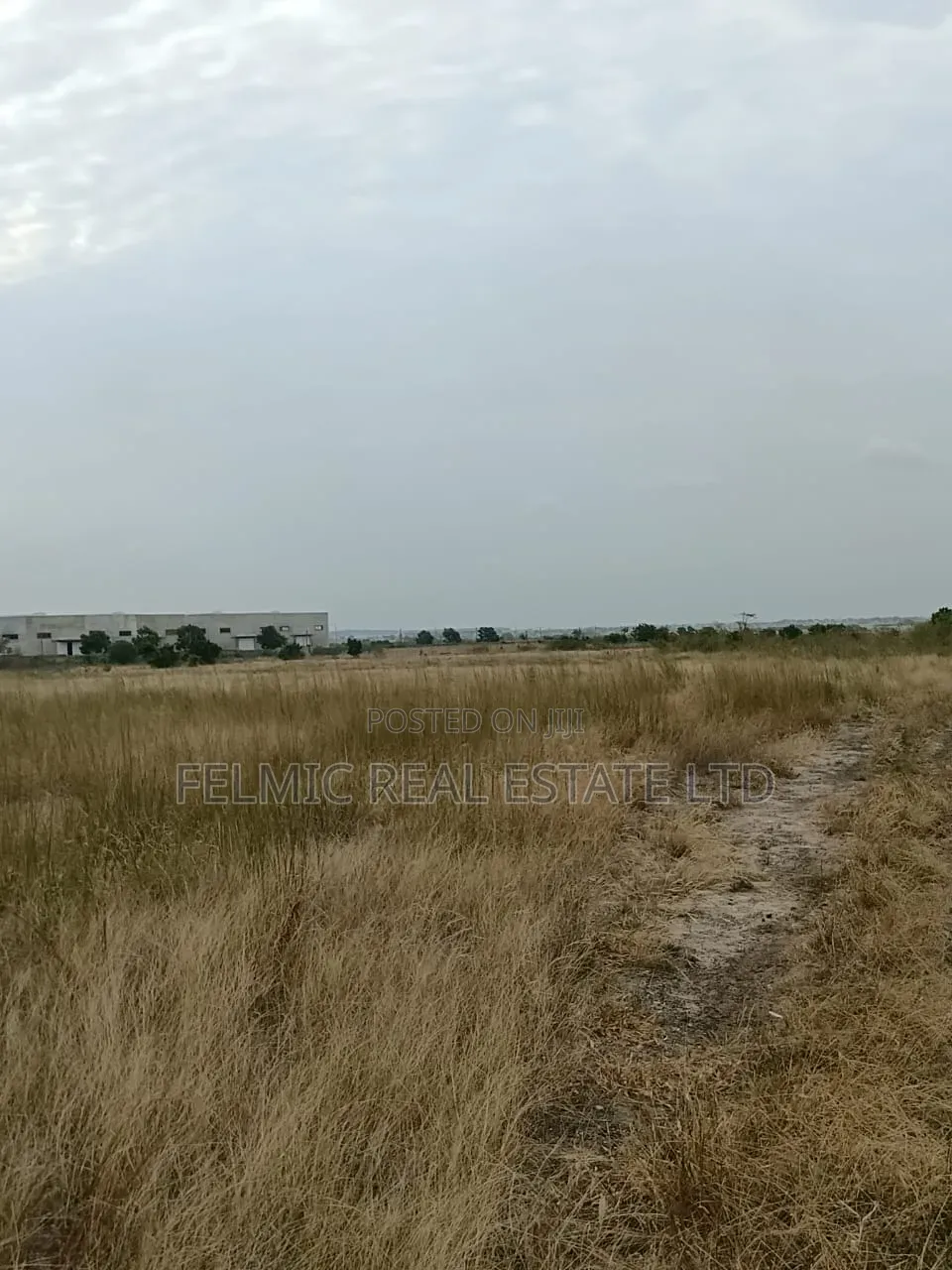 14 Acres of Land After Central University (Dawenya) for Sale