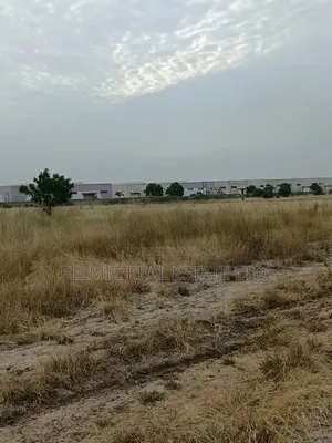 14 Acres of Land After Central University (Dawenya) for Sale