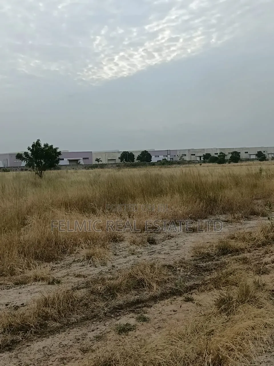 14 Acres of Land After Central University (Dawenya) for Sale