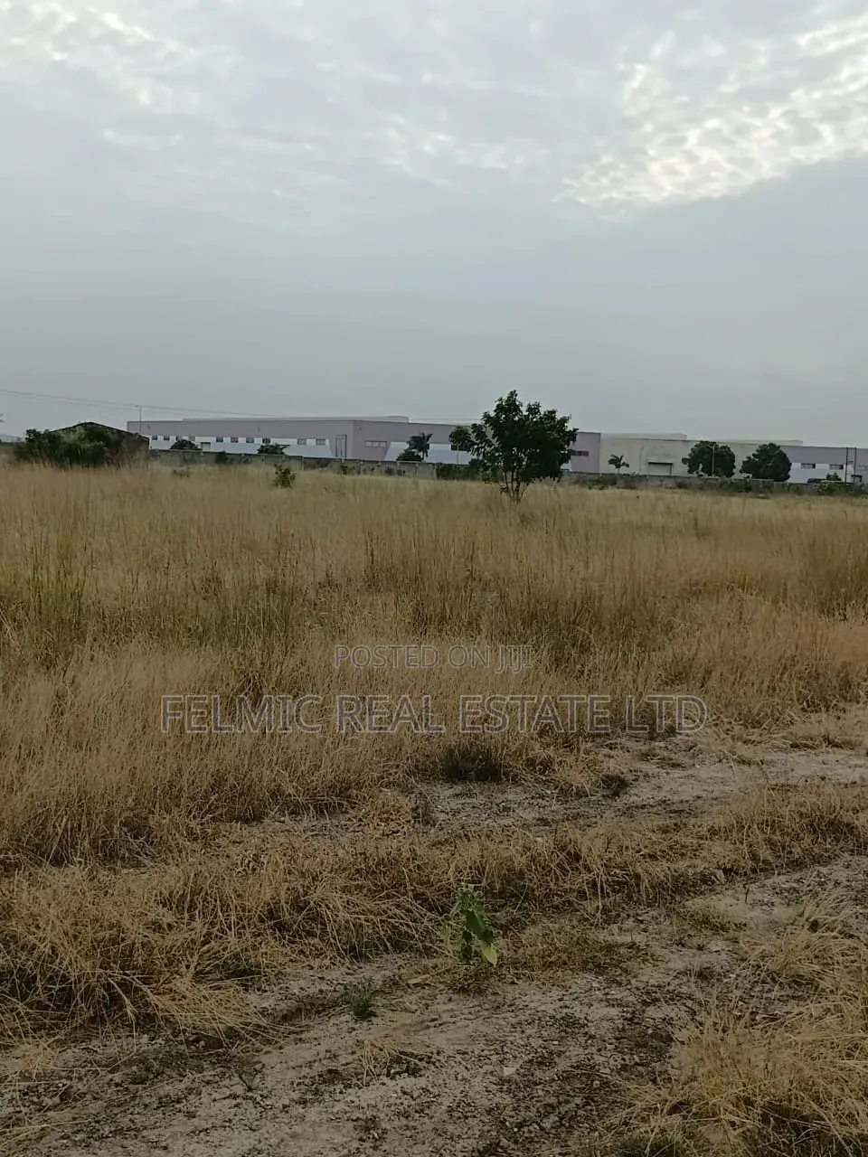 14 Acres of Land After Central University (Dawenya) for Sale