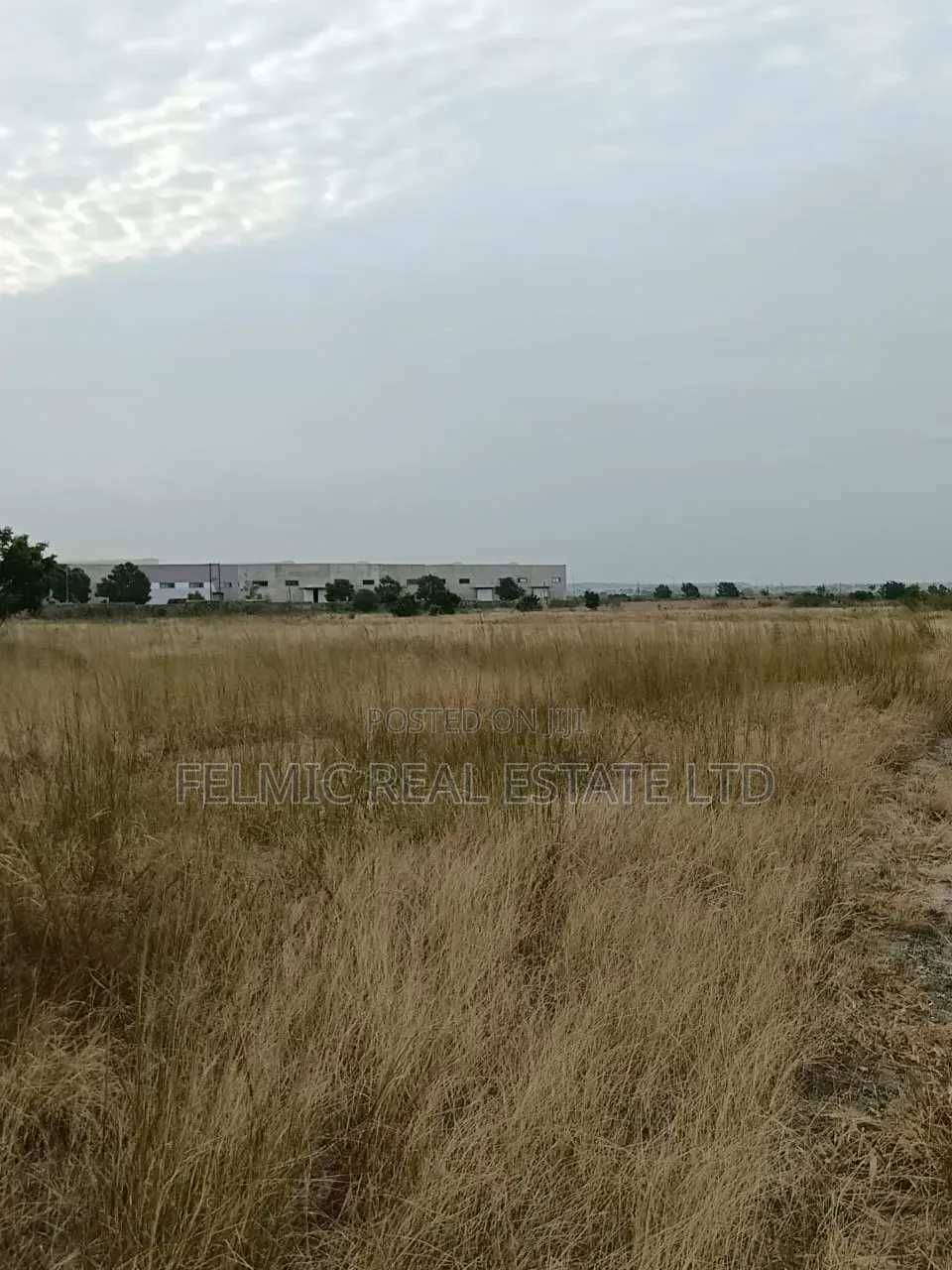 14 Acres of Land After Central University (Dawenya) for Sale