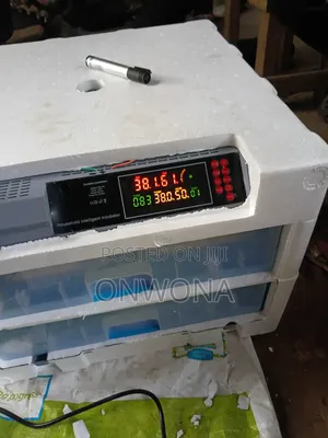 Eggs Incubator