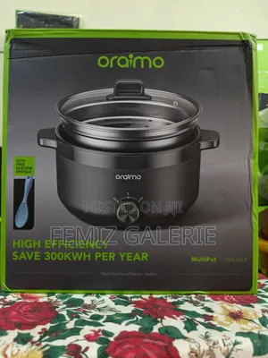 Oraimo MultiPot 3L Electric Pot Plus Steamer
