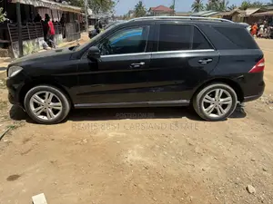 Mercedes-Benz M Class 2015 Black