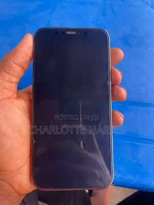 Apple iPhone 12 Pro 256 GB Graphite