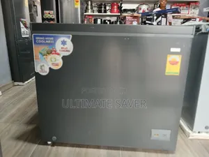 Chest Freezer 251L