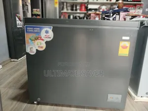 Chest Freezer 251L