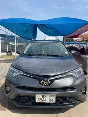 Toyota RAV4 XLE 4dr SUV AWD (2.5L 4cyl 6A) 2018 Gray