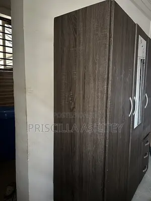 Wardrobe With Mirror