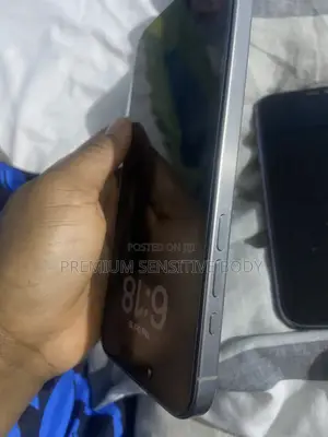 Apple iPhone 15 Pro Max 256 GB Silver