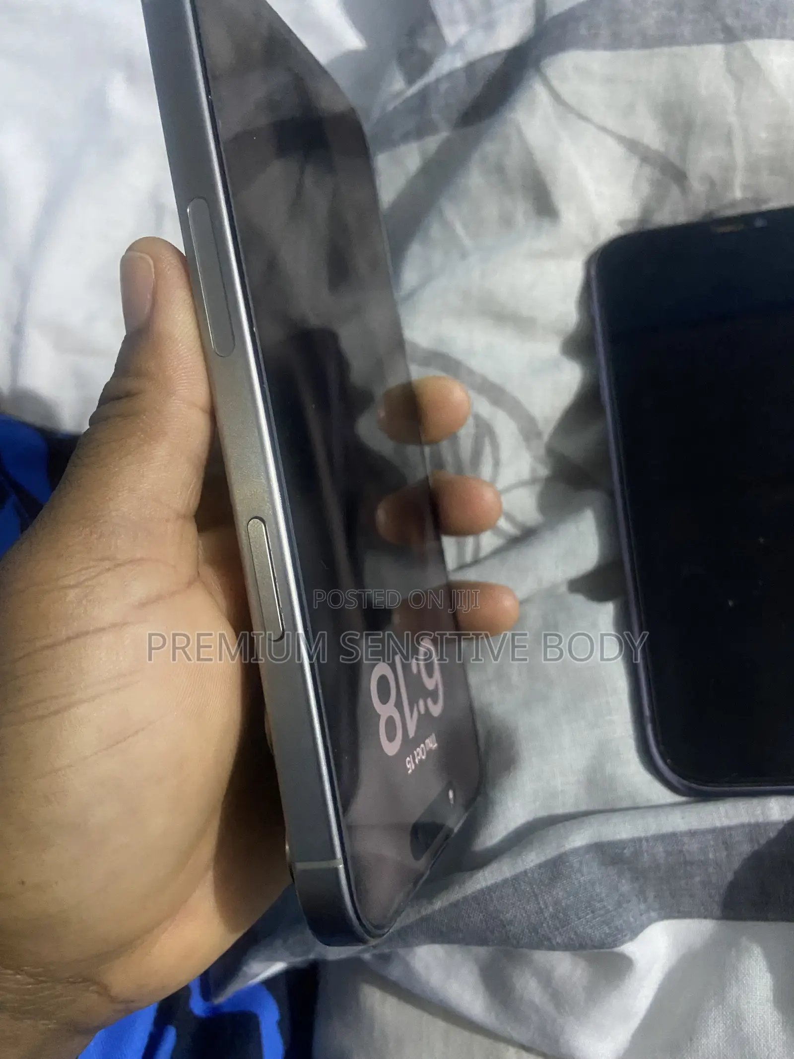Apple iPhone 15 Pro Max 256 GB Silver