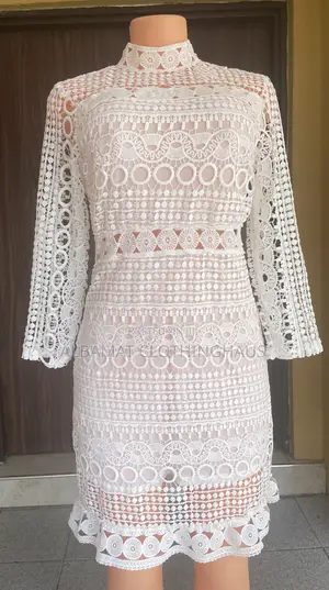 Knee Length Lace Dress