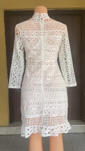 Knee Length Lace Dress