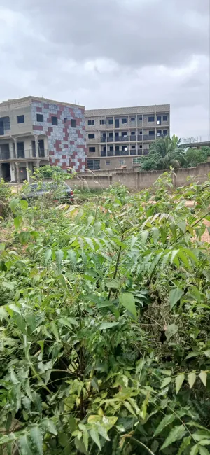 Registered 2 Plots ( Commercial Land) in Kasoa for Sale.