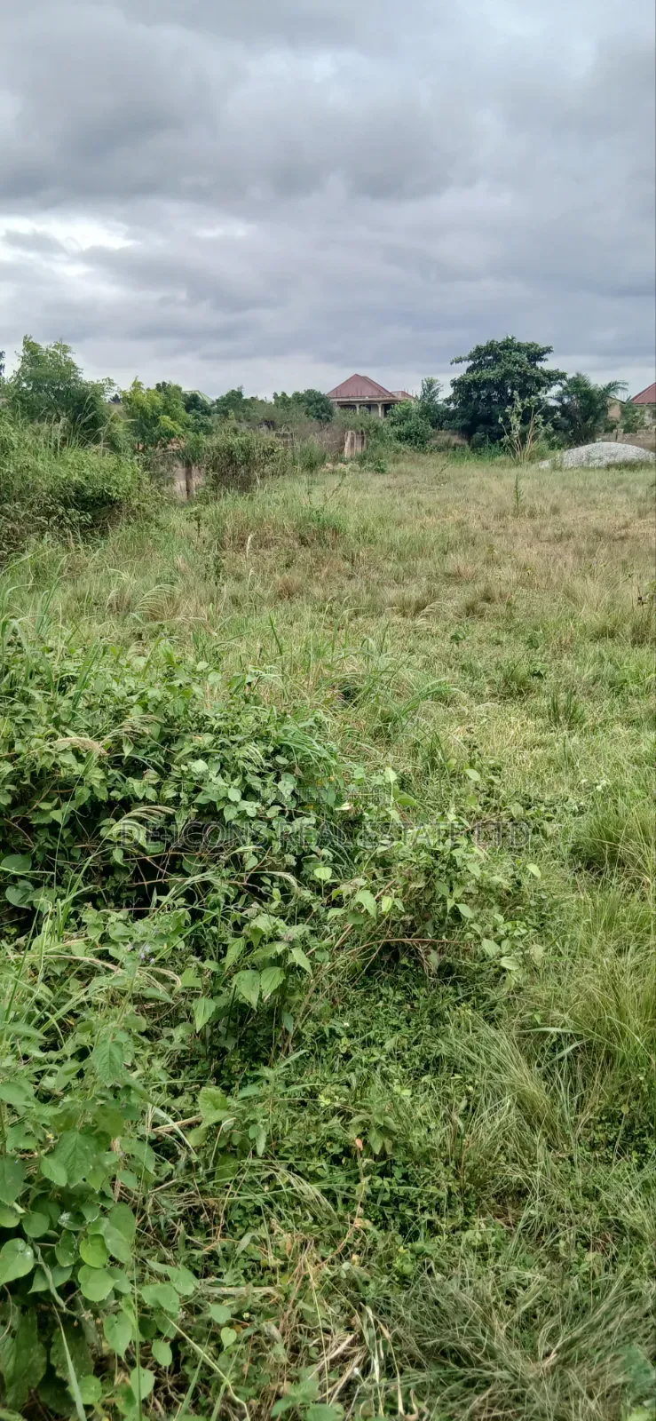Registered 2 Plots ( Commercial Land) in Kasoa for Sale.