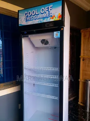 388L Cooling & Frost Free Single Glass Door Display Fridge