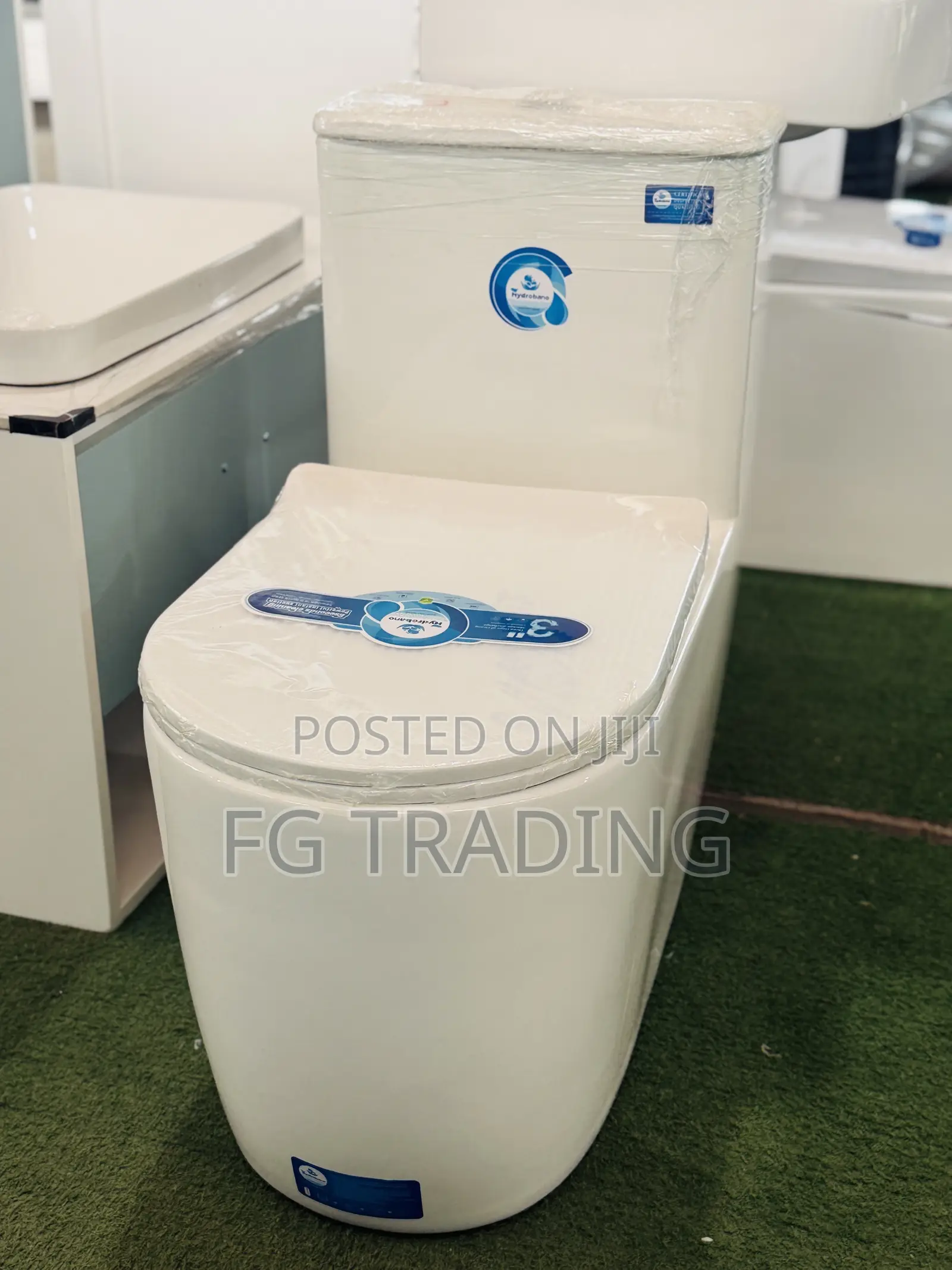 Combined Water Closet _ Siphonic Toilet Seat