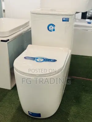 Combined Water Closet _ Siphonic Toilet Seat