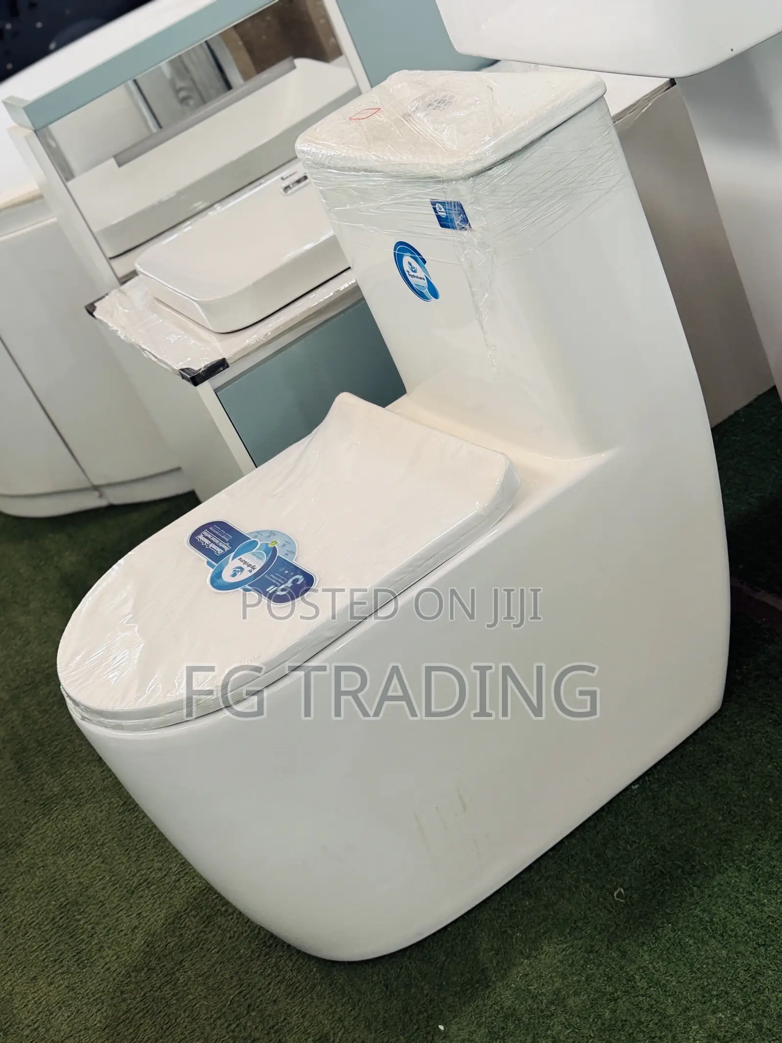 Combined Water Closet _ Siphonic Toilet Seat