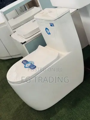 Combined Water Closet _ Siphonic Toilet Seat