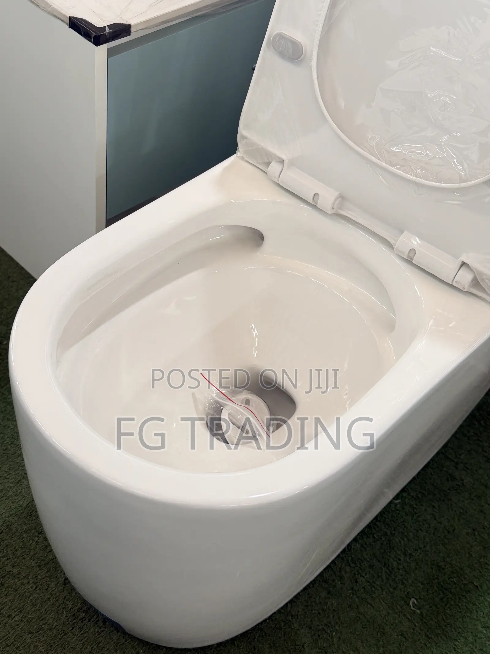 Combined Water Closet _ Siphonic Toilet Seat