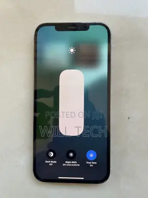 Apple iPhone 12 Pro Max 256 GB Gray