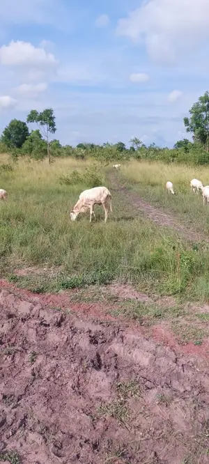 Farm Keeper