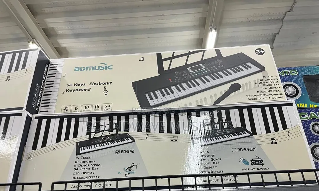 54 Keys Electronic Keyboard