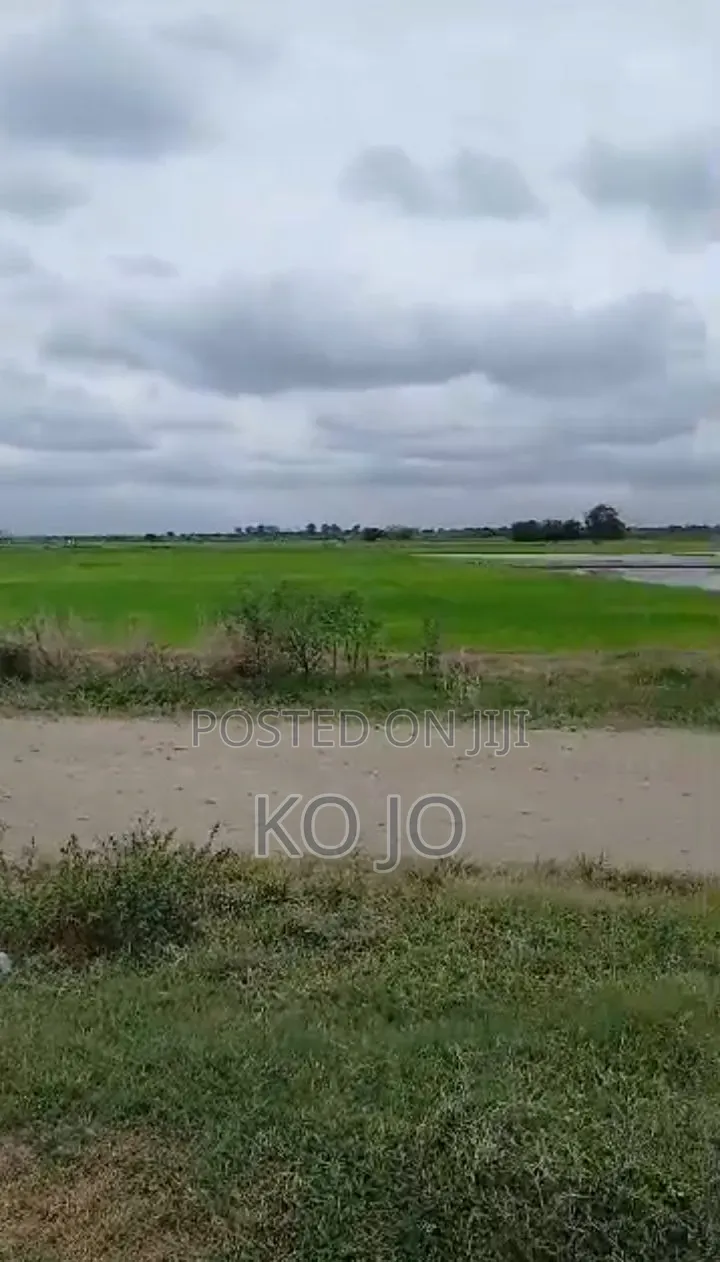 1000 Acres of Arable Land at Asutsuare