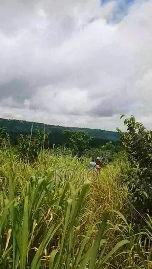 25 Acres of Farmland at Adukrom