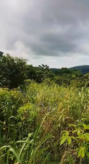 25 Acres of Farmland at Adukrom