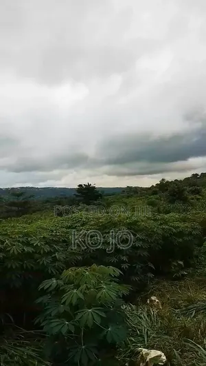 25 Acres of Farmland at Adukrom