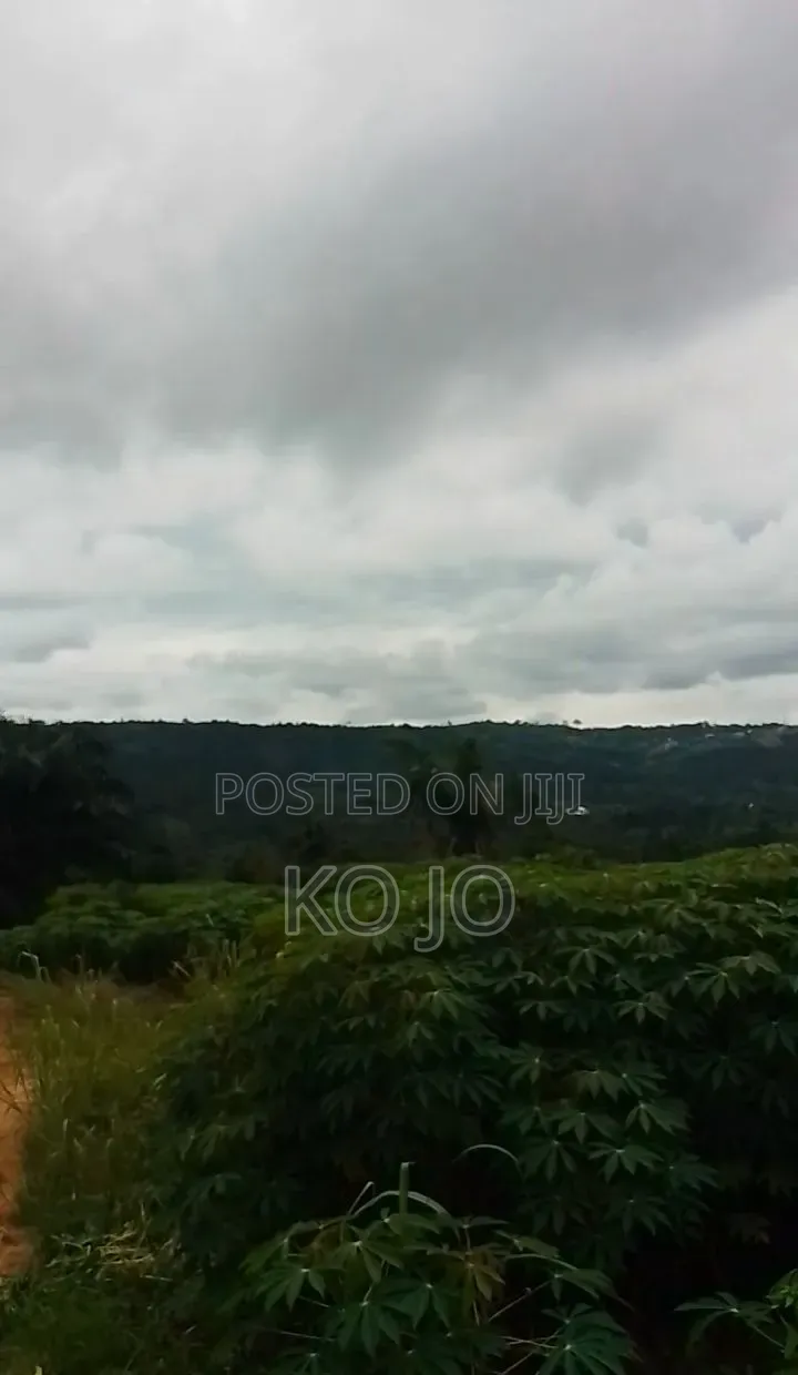 25 Acres of Farmland at Adukrom