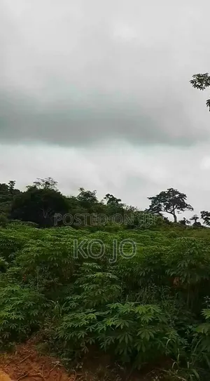 25 Acres of Farmland at Adukrom