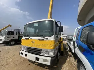 Hyundai Mega Crane Truck for Sale