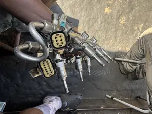 Ford F150/Lincol Navigator Injectors