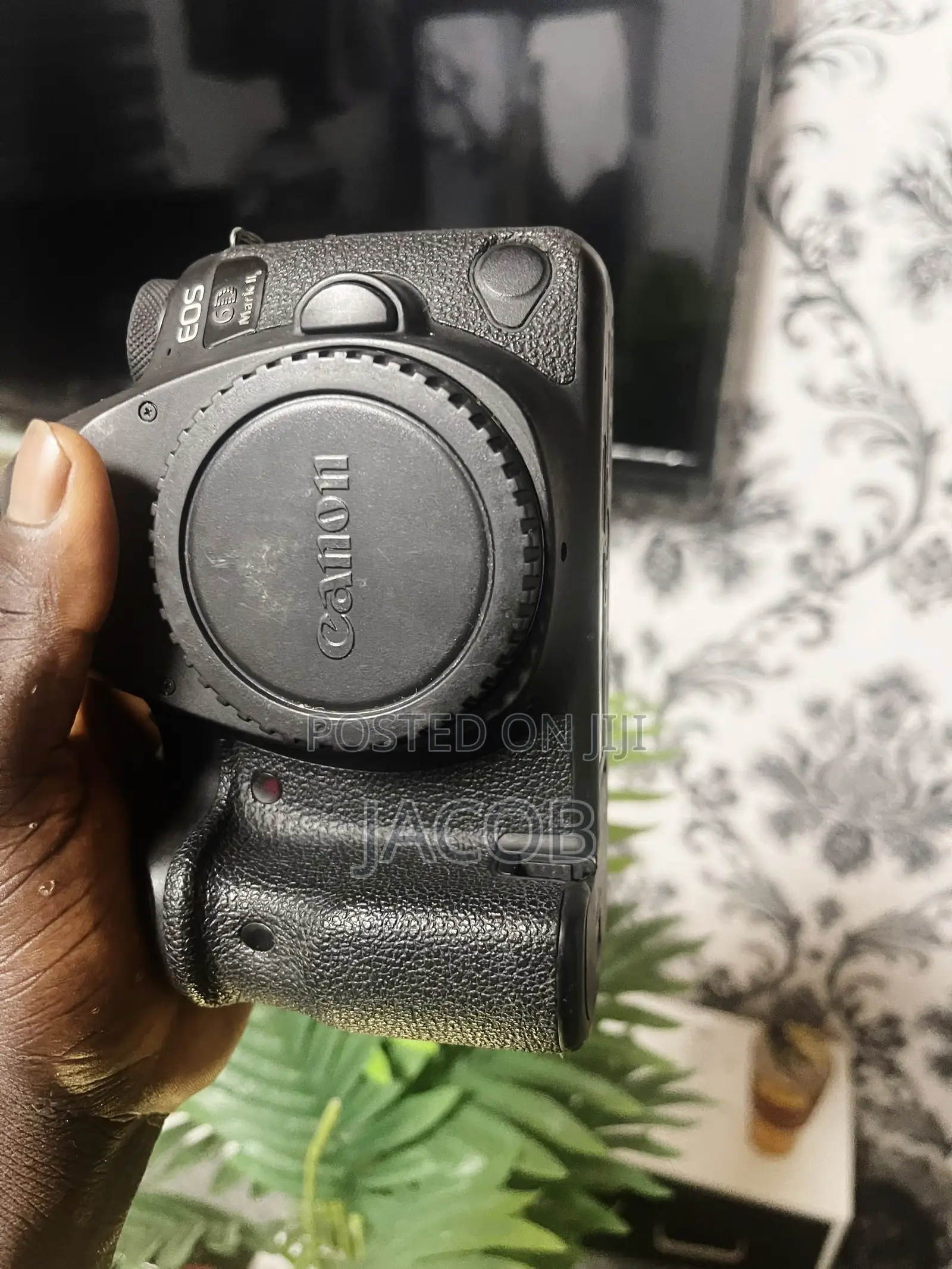Canon 6D Mark 2