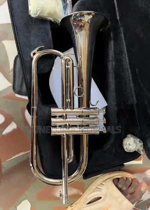 Titanic USA YFH-631GS Bb Flugelhorn Resting Inside a Hard Case
