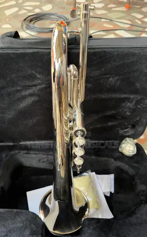 Titanic USA YFH-631GS Bb Flugelhorn Resting Inside a Hard Case
