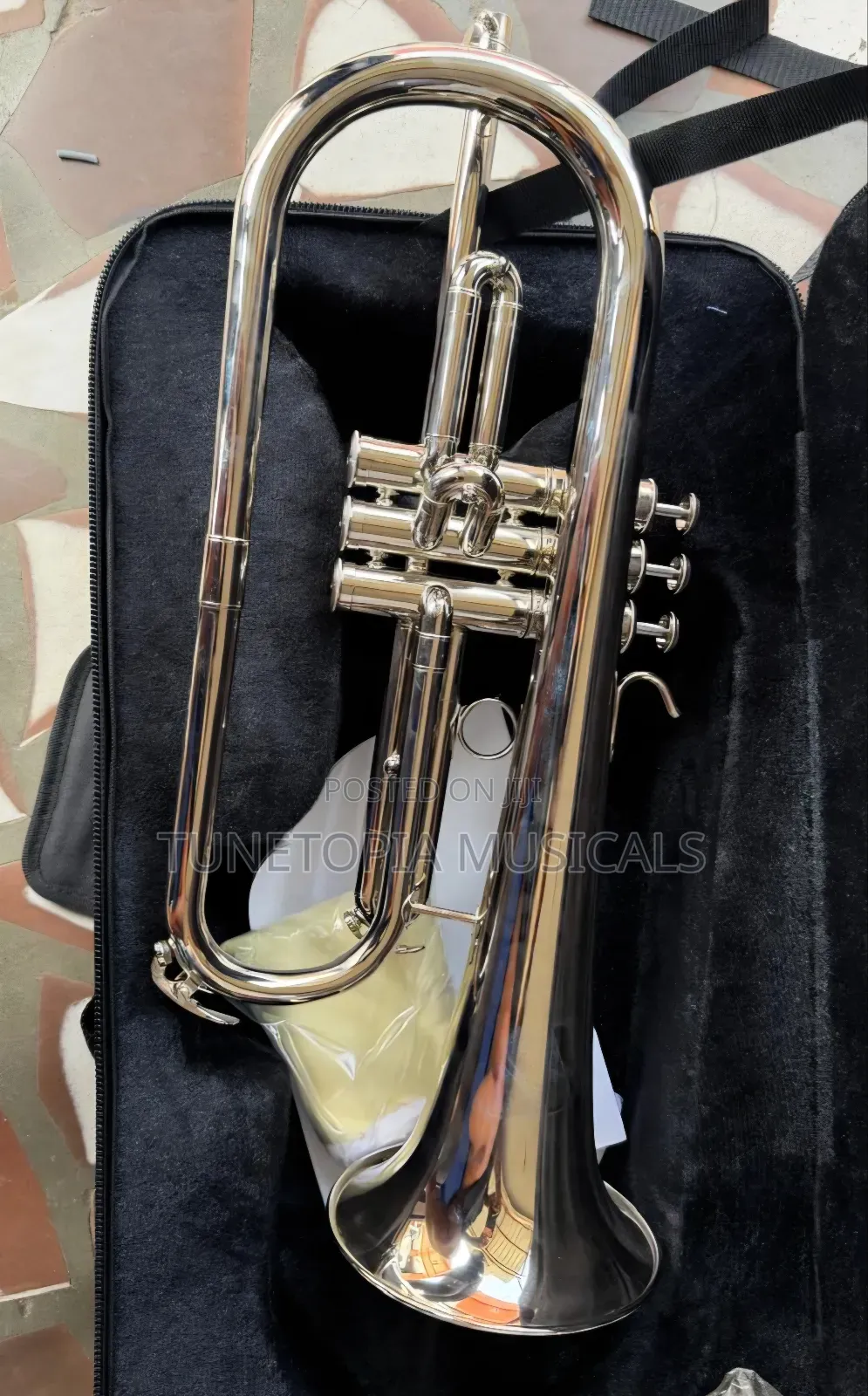 Titanic USA YFH-631GS Bb Flugelhorn Resting Inside a Hard Case