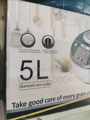 Domestic Rice Cooker