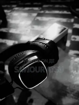 JBL/Bluetooth/Fm/Sd Card/Handsfree/Chargeable Headset