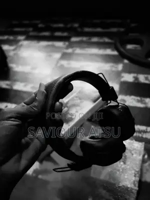 JBL/Bluetooth/Fm/Sd Card/Handsfree/Chargeable Headset