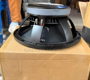 JAC Professional MS12H20G 12-Inch Single-Magnet Naked Raw Speaker