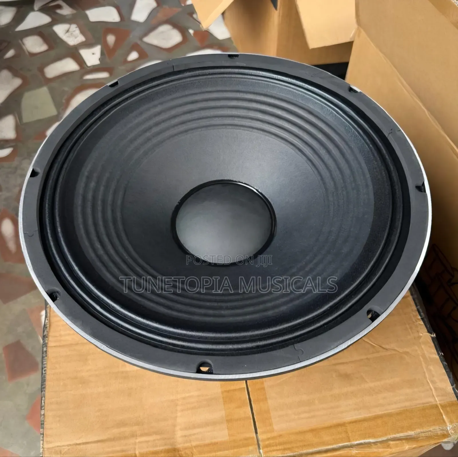 JAC SM15H89D (Or MR15H89D) 15-Inch Professional Naked Speaker.