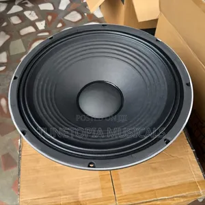 JAC SM15H89D (Or MR15H89D) 15-Inch Professional Naked Speaker.
