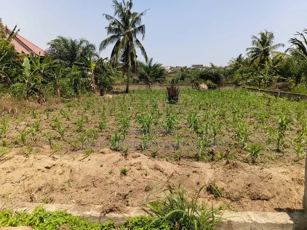 1 Plot of Land for Sale in Awutu Breku( Winneba Road) Registered