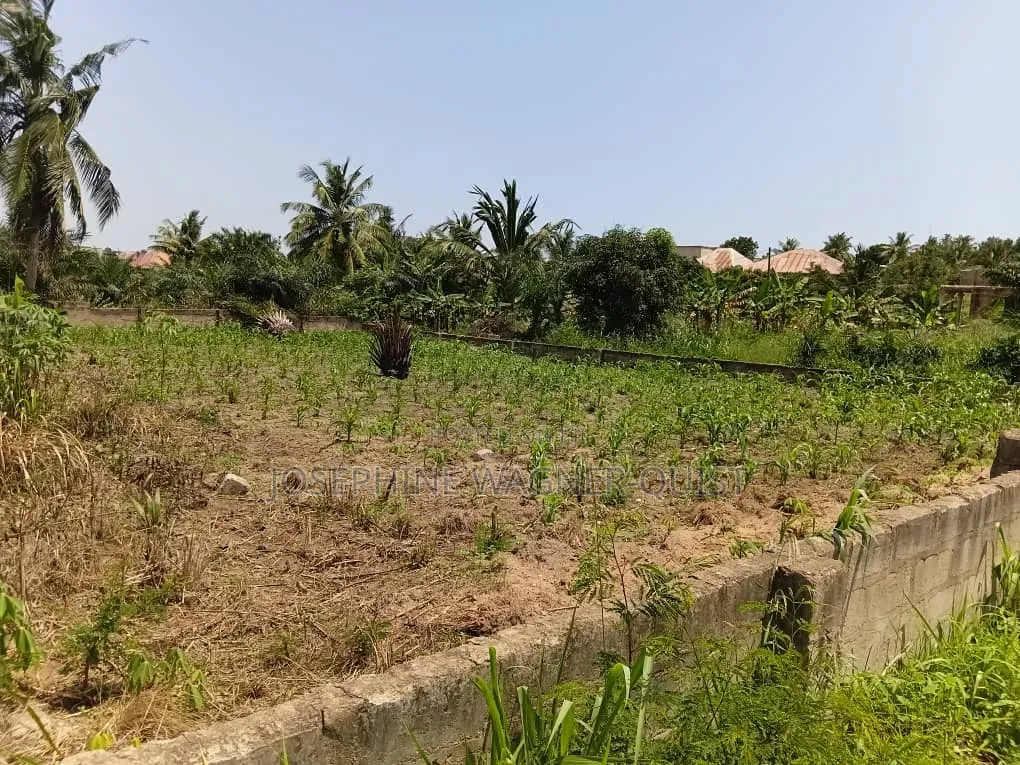 1 Plot of Land for Sale in Awutu Breku( Winneba Road) Registered