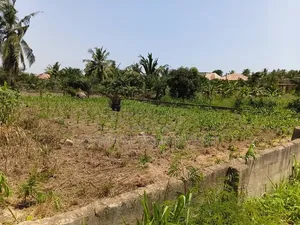 1 Plot of Land for Sale in Awutu Breku( Winneba Road) Registered