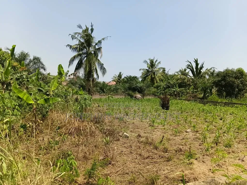 1 Plot of Land for Sale in Awutu Breku( Winneba Road) Registered